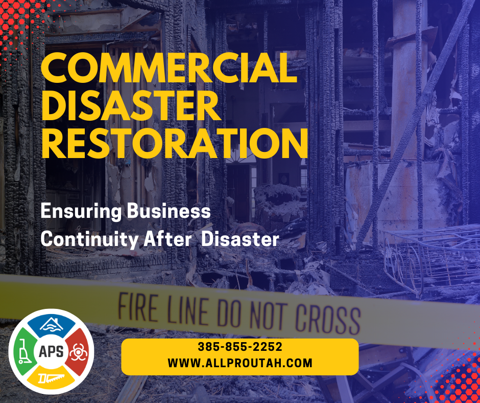 Commercial Disaster Restoration Procedures and Services: Recovering from Water, Fire and Other Disasters